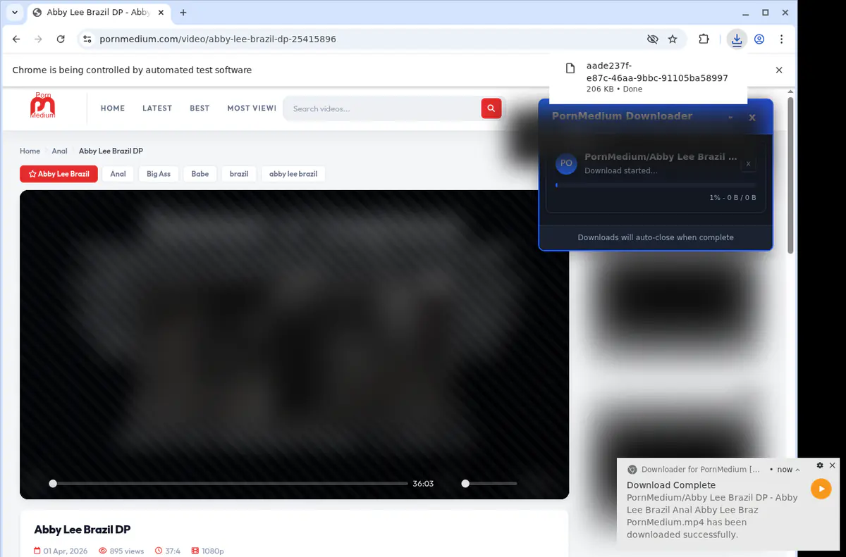 Pornmedium Video Downloader browser extension screenshot 2