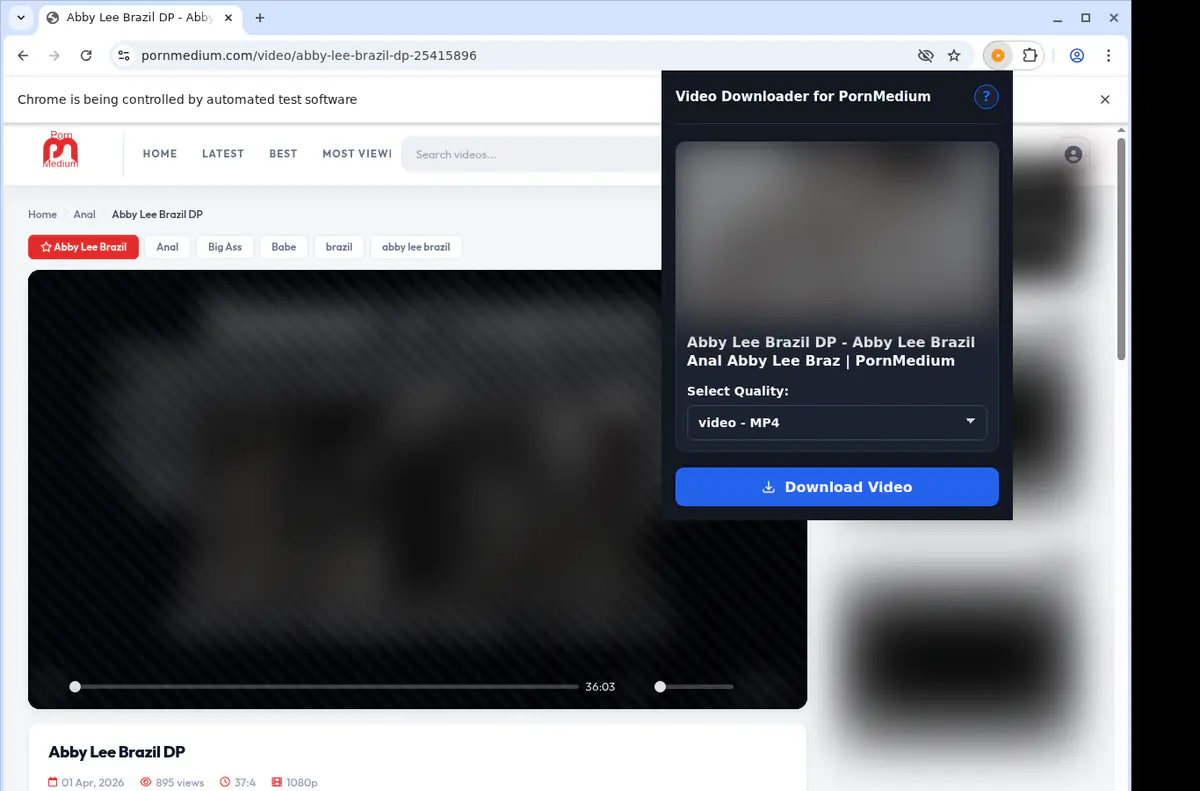 Pornmedium Video Downloader browser extension screenshot 3
